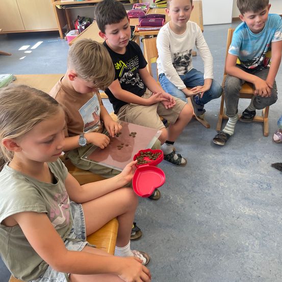 Fünf Kinder sitzen auf Stühlen, möglicherweise in einem Klassenzimmer. Ein Mädchen hält eine rote Schüssel mit Gegenständen. Ein anderes Kind schaut auf die Objekte auf einem Tablett. Hinter ihnen steht ein Holzschreibtisch mit einigen Büchern.