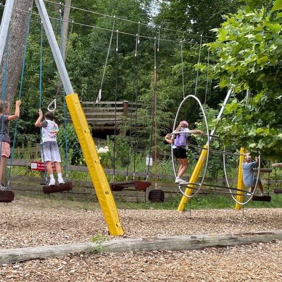Kinder spielen auf einer Reihe von Schaukeln und Kletterringen in einem Park, umgeben von Bäumen und einem Holzzaun.