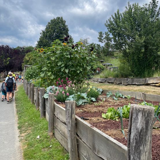 Ein Garten mit verschiedenen Pflanzen, darunter Sonnenblumen und Blumen, ist von einem Holzzaun umgeben. In der Nähe gehen Menschen auf einem Pfad.
