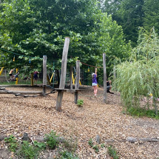 Eine Gruppe von Kindern spielt auf einem hölzernen Hindernisparcours in einem Waldspielplatz. Ein Kind klettert eine Seilleiter hoch.