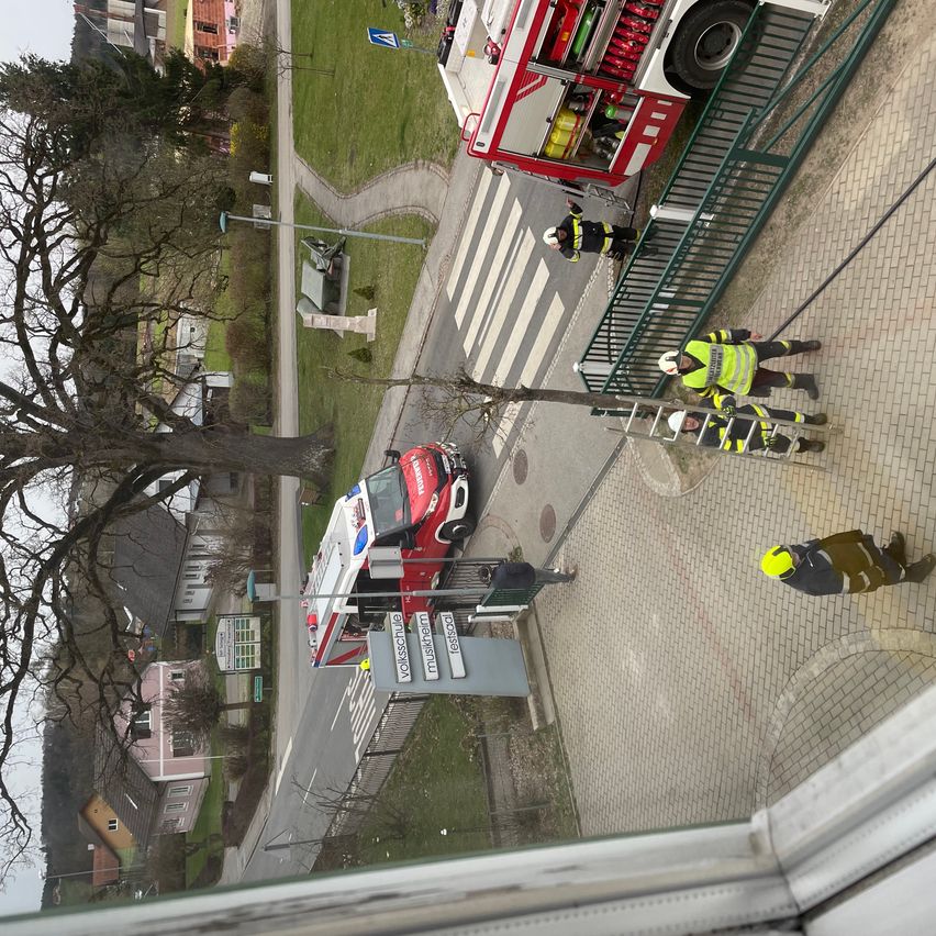 Rettungsfahrzeuge stehen auf einer Straße geparkt. Feuerwehrleute stehen neben einem Baum, einer hält ein Seil. Eine Person klettert auf einer Leiter.