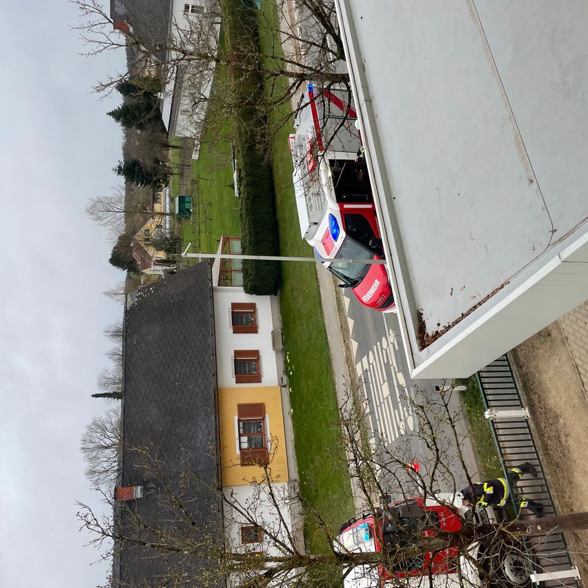 Eine Luftaufnahme einer Nachbarschaft mit einem Feuerwehrauto auf der Straße und einem Arbeiter, der einen Baum schneidet.