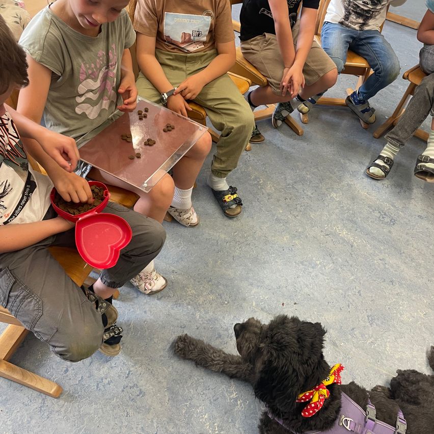 Eine Gruppe von Kindern, die um einen Tisch sitzen, an dem ein Hund in einem lila Geschirr sitzt.