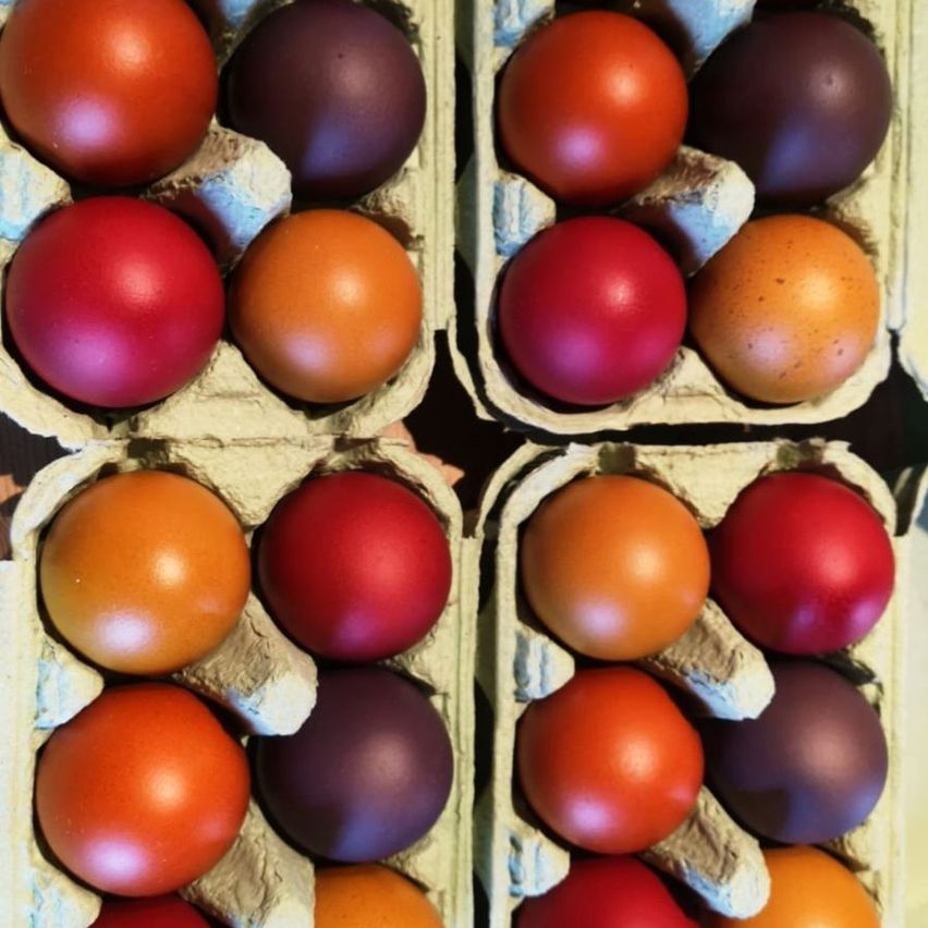 Drei Kartons mit verschiedenfarbigen Ostereiern sind ausgestellt. Jeder Karton enthält zehn Eier und zeigt eine Reihe von Farben, darunter Rot, Orange und Lila.