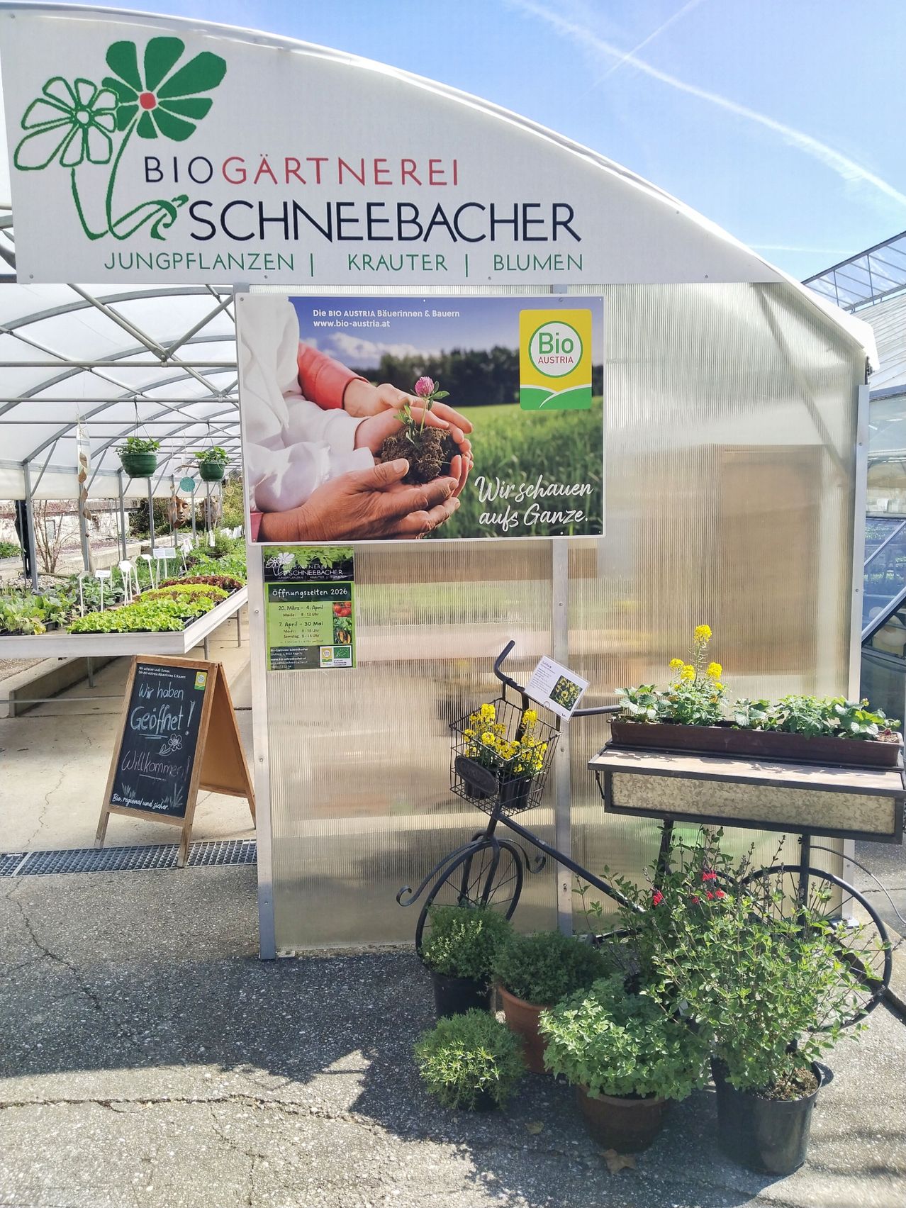Ein Gartengeschäft im Freien mit einem Schild, das 'Bio Gärtnerei Schneebacher' liest. Ein Schild mit einer Pflanze und dem Text 'Bio Austria' ist montiert. Ein Fahrrad mit Korb ist geparkt, und ein Blumentopf mit Blumen steht auf dem Tisch.