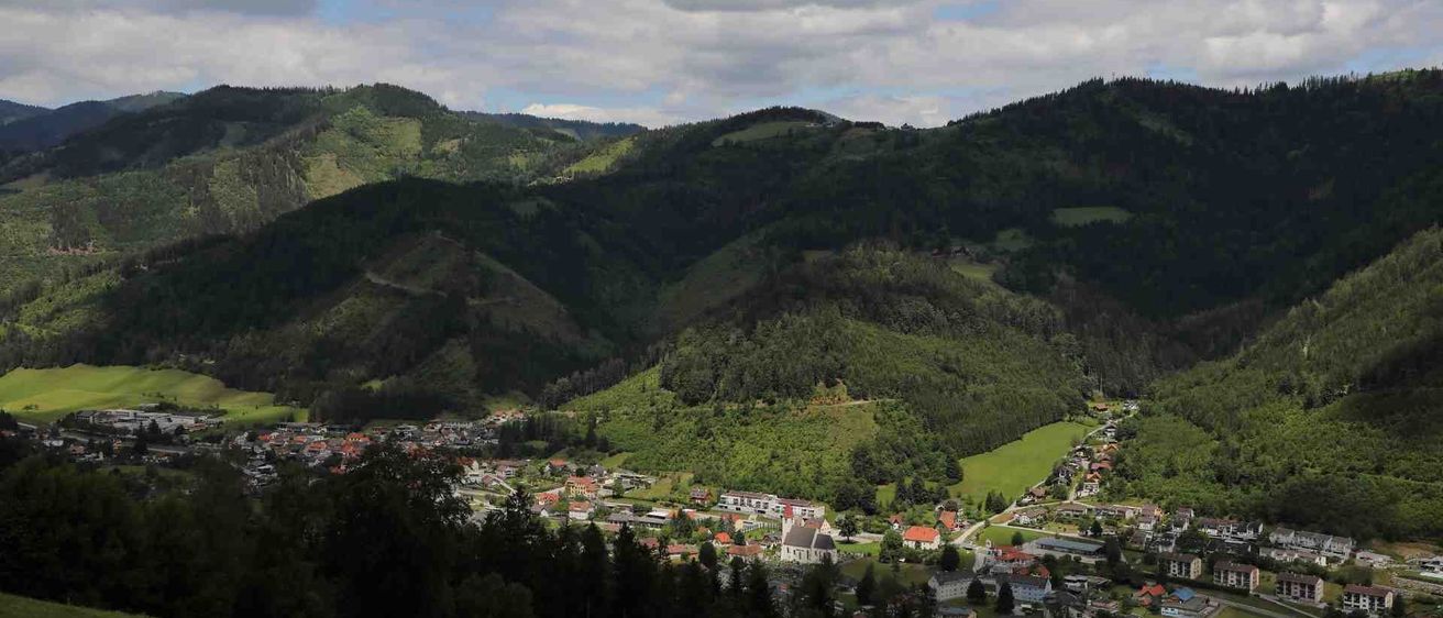 v1_migrated_image_72282864