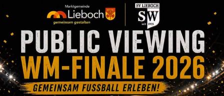 Poster for Public Viewing WM-Finale 2026 event, featuring a golden trophy, soccer ball, and a crowd. Details include date, time, location, and free entry.