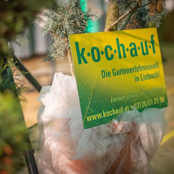 Bild enthält, Bag, Advertisement, Plastic, Business Card, Paper, Text, Plastic Bag