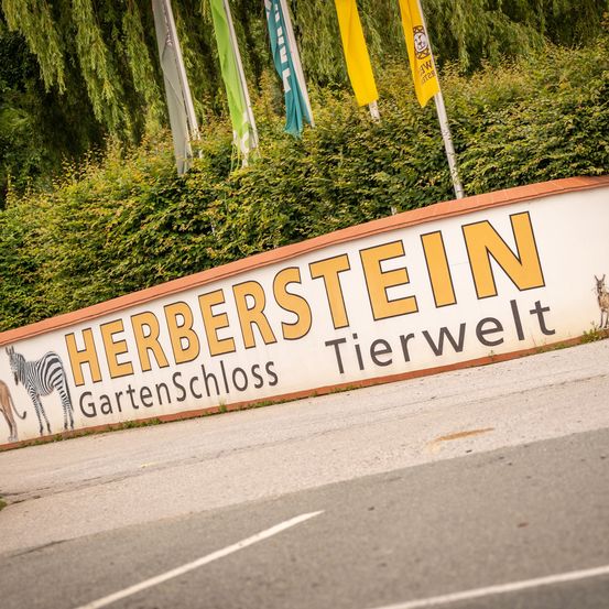 Bild enthält, Animal, Zoo, Mammal, Wildlife, Zebra, Road, Tarmac, Panther, Sign, Symbol