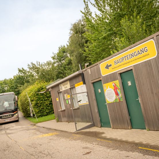 Bild enthält, Bus Stop, Outdoors, Person, Bus, Transportation, Vehicle, Architecture, Building, Housing, Road