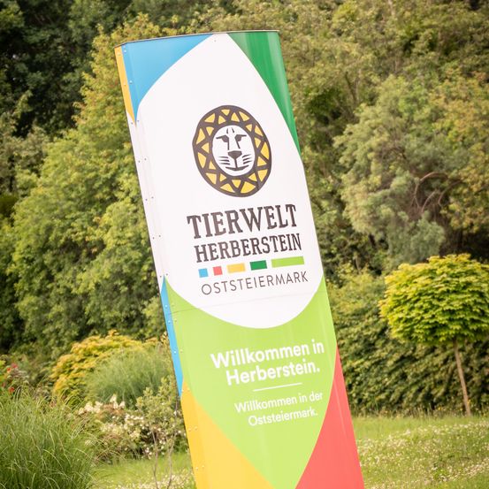 Bild enthält, Advertisement, Poster, Plant, Vegetation, Tree