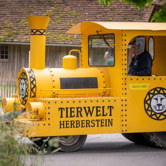 Bild enthält, Person, Machine, Wheel, Railway, Train, Vehicle, Face, Handbag, Engine, Housing