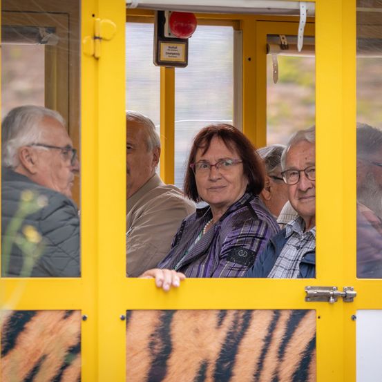 Bild enthält, Adult, Female, Person, Woman, Male, Man, Face, Bus, Vehicle, Glasses