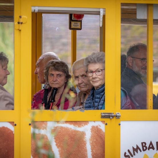Bild enthält, Adult, Male, Man, Person, Female, Woman, Face, Bus, Vehicle, Glasses