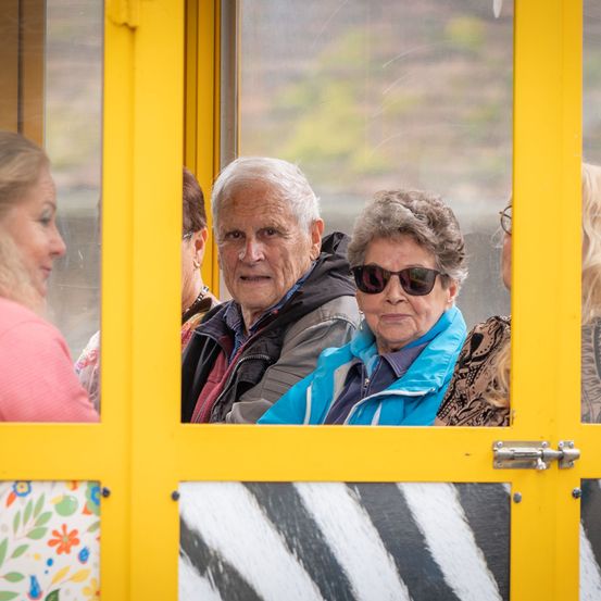 Bild enthält, Sunglasses, Adult, Male, Man, Person, Bus, Face, Female, Woman, School Bus