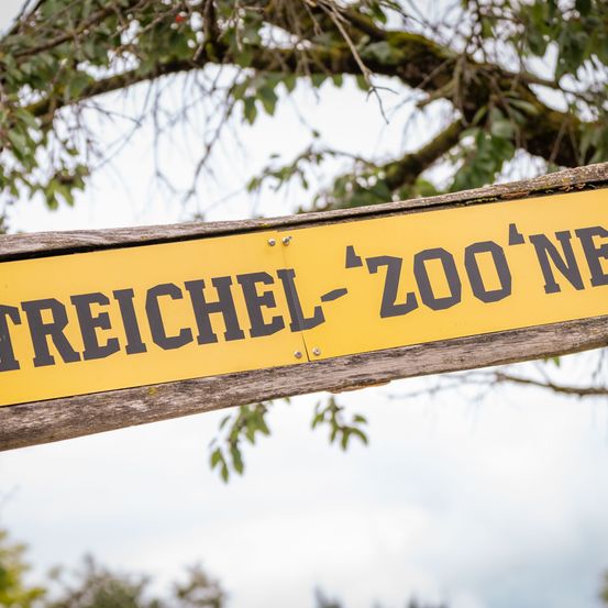 Bild enthält, Sign, Symbol, Road Sign, Animal, Livestock, Mammal, Sheep
