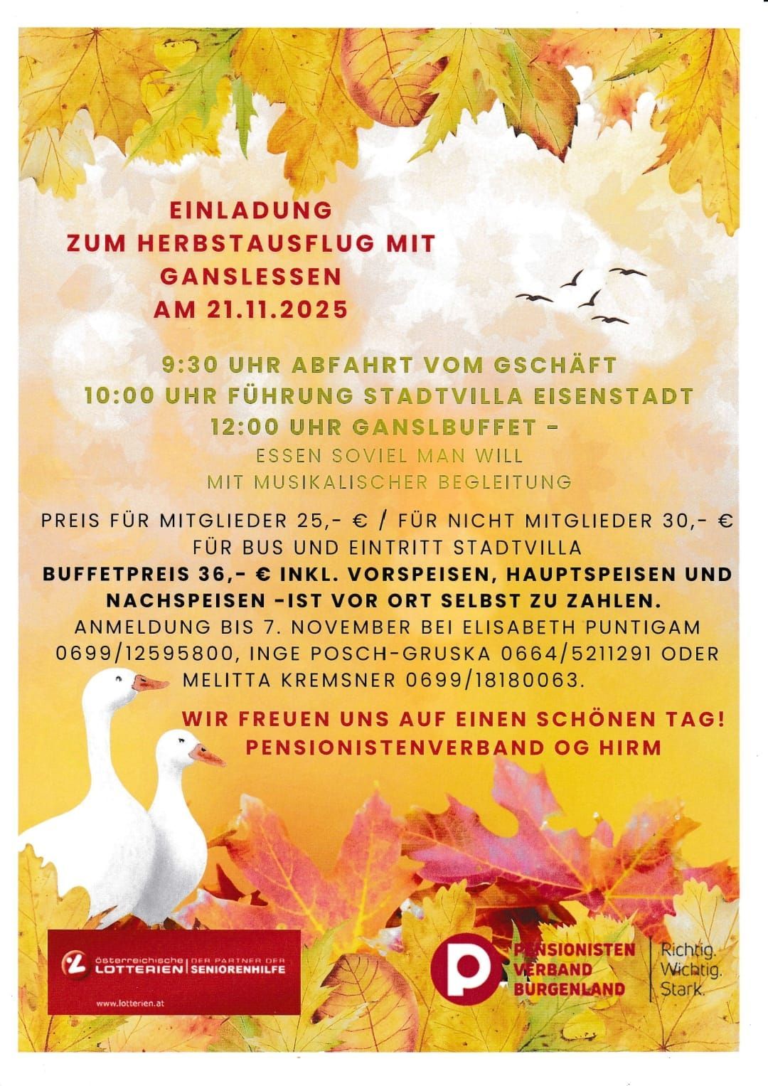 Poster for an autumn day trip with goose buffet on November 21, 2025. Departure at 9:30 from the village hall. Buffet at 12:00. Additional costs for main and dessert courses. Registration by November 7.