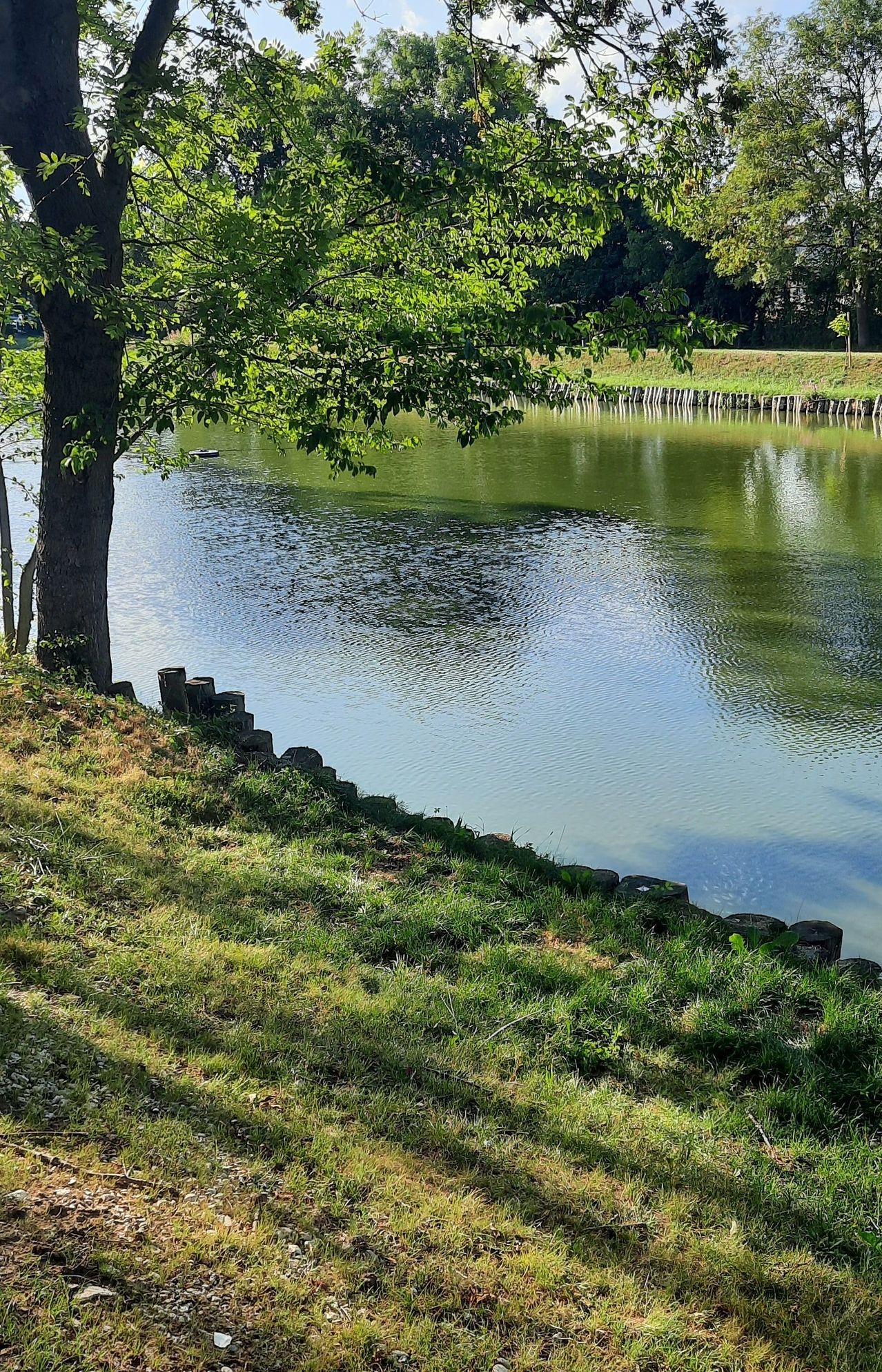 Ein ruhiger See mit einem Baum am Ufer, umgeben von grünem Gras und einem Holzzaun. Ein kleines Boot schwimmt auf dem Wasser.