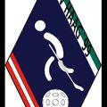 Floorballverein Haag ´99-Logo