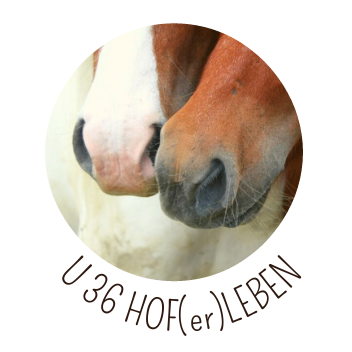 U36 Hof(er)leben | CITIES