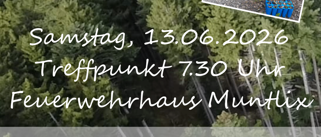 Freiwilligentag 2026, Samstag, 13.06.2026, Treffpunkt 7.30 Uhr am Feuerwehrhaus Muntlix. Bilder von Freiwilligen beim Baumpflanzen.