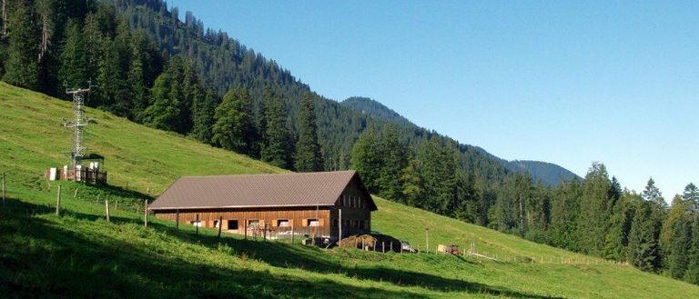 Ein Holzhaus mit einem grauen Dach befindet sich auf einem üppigen grünen Hang mit einem nahe gelegenen Strommast. Das Gebiet ist von dichten Wäldern und Bergen unter einem klaren blauen Himmel umgeben.