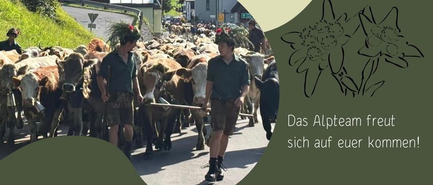 Plakat für Alpabtrieb-Veranstaltung in Laterns mit einer Herde von Kühen, einer Kuh auf einem Hügel und einer malerischen Kulisse. Die Veranstaltung ist für Samstag, 5. September 2026, geplant, mit Ankunft um etwa 11:00 Uhr und Beginn der Aufführung um 10:00 Uhr.