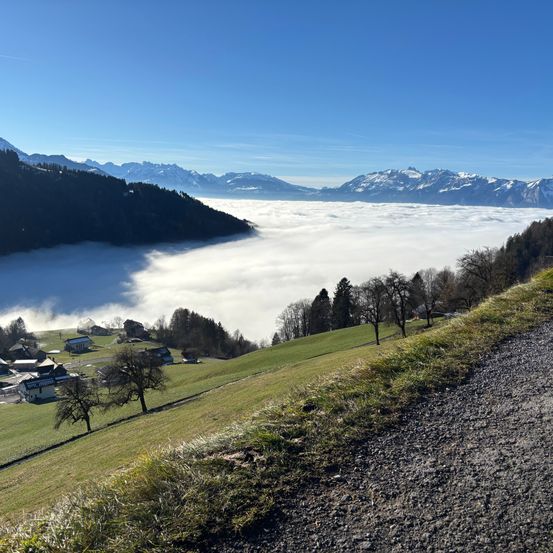Eine Berglandschaft mit einem von Nebel bedeckten Tal, umgeben von Bäumen und Häusern, unter einem klaren blauen Himmel.
