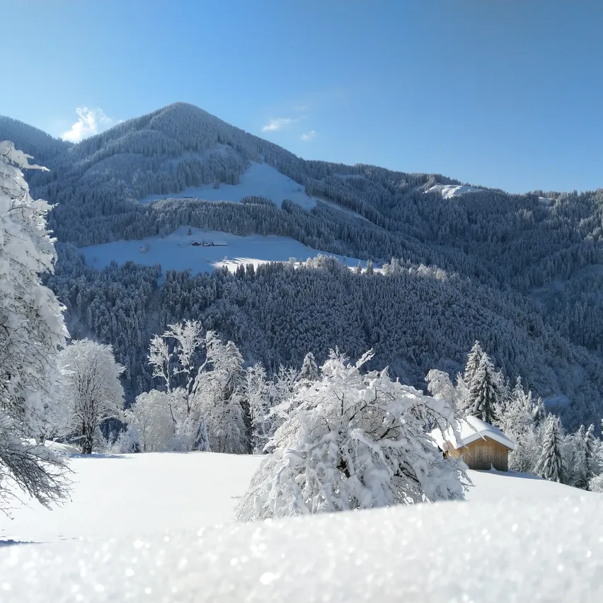 Schneebedeckte Berge und Wälder mit einer kleinen Hütte im Vordergrund unter einem klaren blauen Himmel.