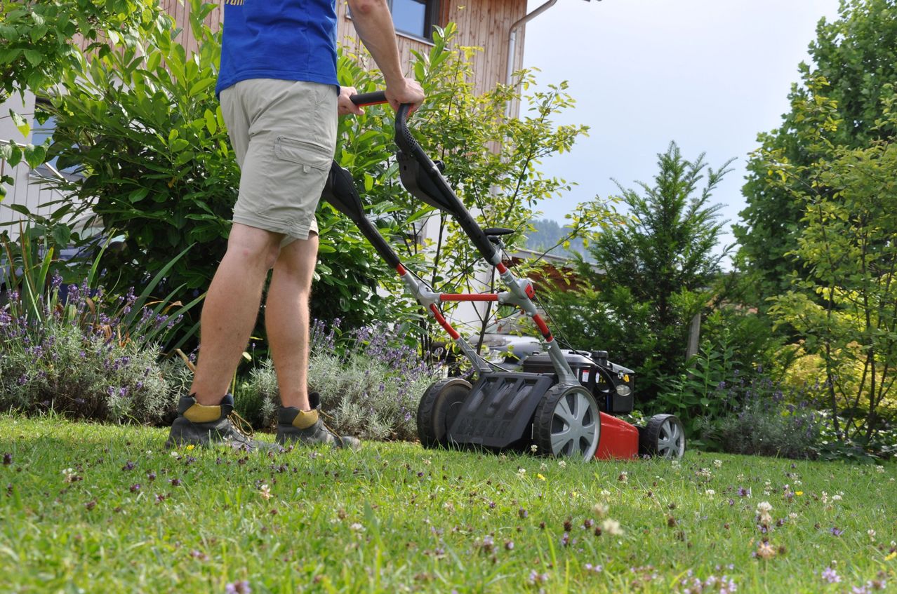 Eine Person in einem blauen Shirt und khakifarbenen Shorts mäht den Rasen mit einem rot-schwarzen Rasenmäher. Im Hintergrund befinden sich Büsche und Bäume.