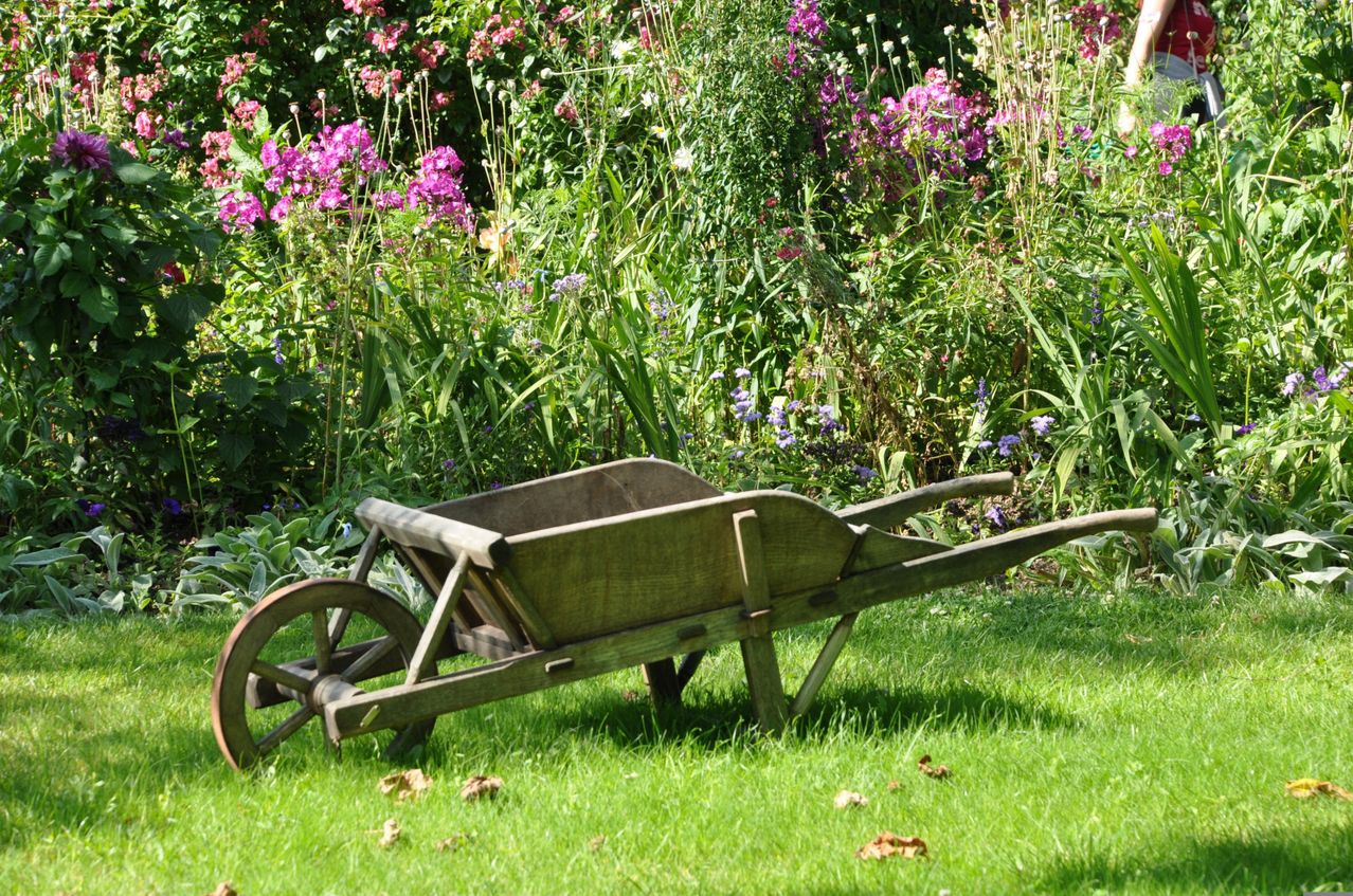Ein alter hölzerner Schubkarren steht in einem üppigen Garten voller bunter Blumen, darunter rosa und lila Blüten, vor dem Hintergrund von grünem Laub.