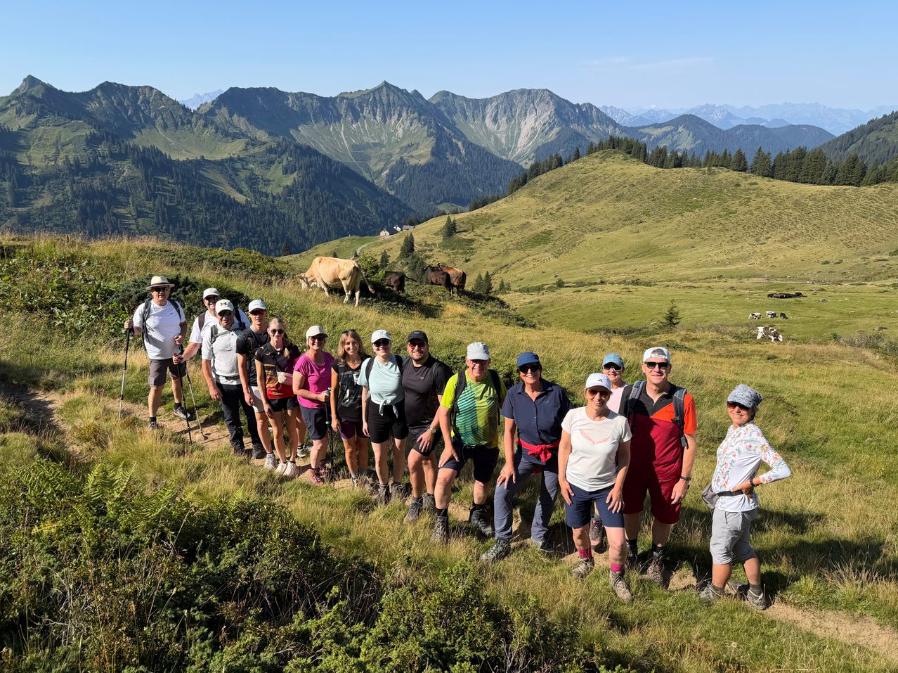Eine Gruppe von Wanderern steht auf einem grasbewachsenen Berghang mit Blick auf die Alpen. Einige tragen Hüte und Sonnenbrillen, und im Hintergrund grasen Kühe.