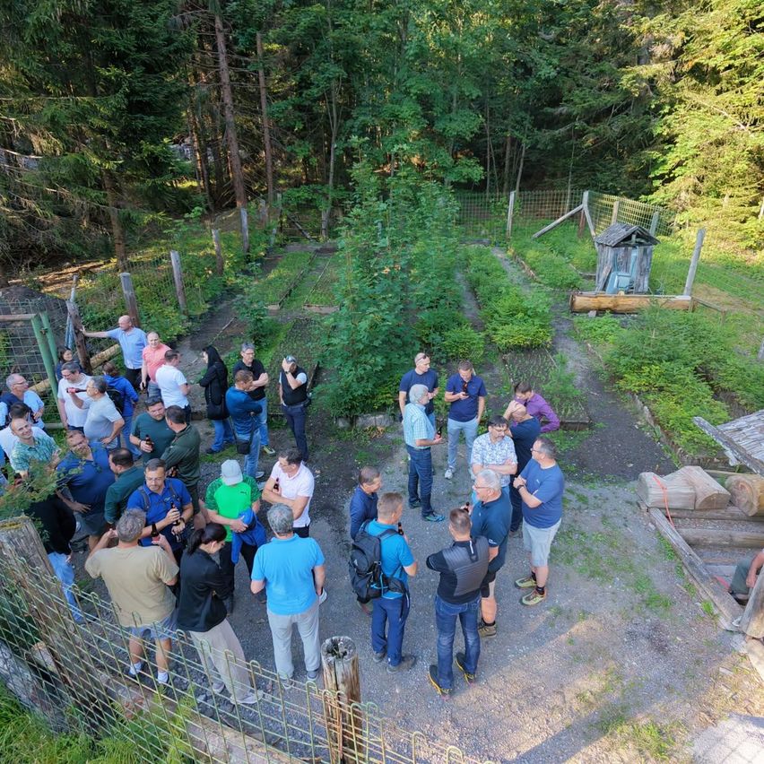 Eine Gruppe von Menschen versammelt sich in einem Garten, einige stehen und andere sitzen, mit einer Vielzahl von Bäumen und Pflanzen im Hintergrund.