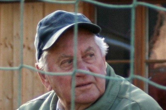 Ein älterer Mann mit einer blauen Kappe und einem grünen Jacke schaut durch ein Netz. Das Netz ist grün und scheint aus Metall zu sein. Der Hintergrund ist verschwommen und zeigt eine Holzstruktur.