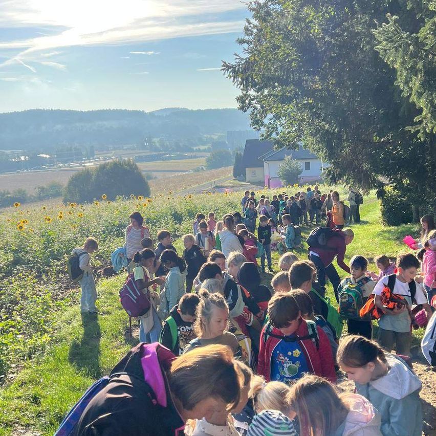Eine große Gruppe von Kindern in einem Sonnenblumenfeld, einige mit Rucksäcken, mit einem Haus und Bergen im Hintergrund.
