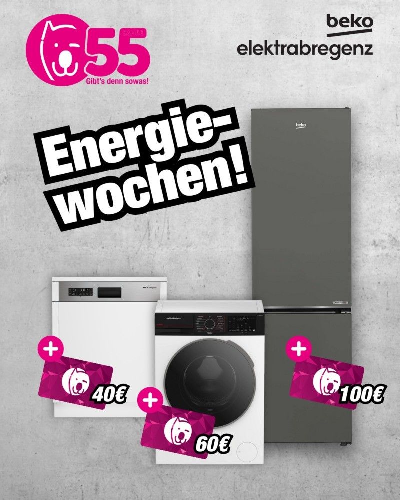 Werbeanzeige für Energieeinsparungen mit Haushaltsgeräten. Kühlschrank, Waschmaschine und Geschirrspüler sind abgebildet. Angebote umfassen Gutscheine von 40€, 60€ und 100€.