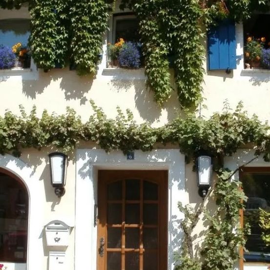 Außenansicht eines weißen Hauses mit einer braunen Tür und Glasfenstern. Das Haus hat Efeu an der Wand und Topfpflanzen auf den Fenstern. Auf beiden Seiten der Tür befinden sich zwei Lampen und ein Briefkasten auf der linken Seite.