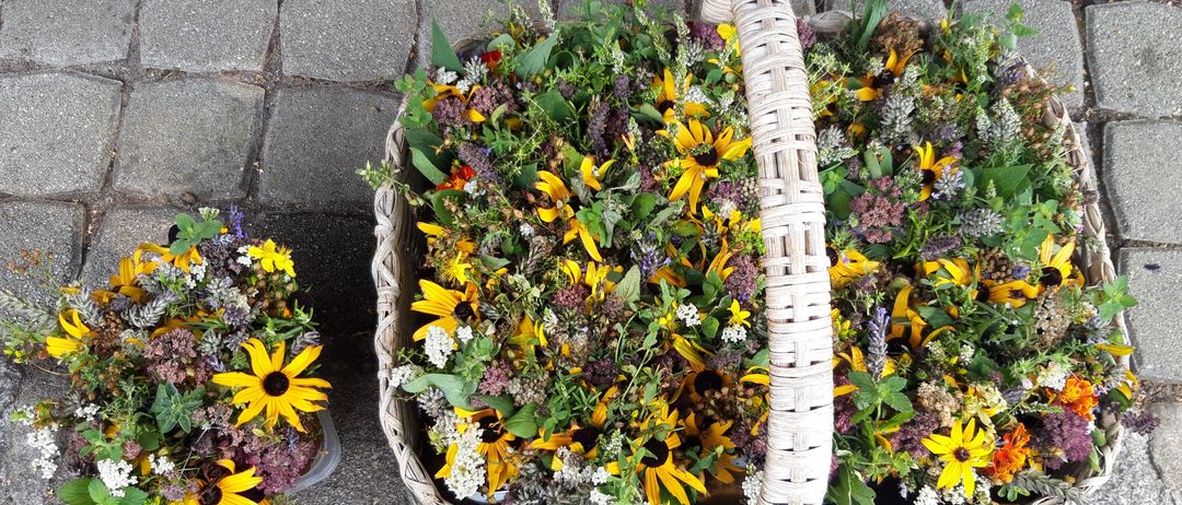 Ein Korb aus Weide gefüllt mit einer Vielzahl von Kräutern und Blumen, einschließlich Sonnenblumen, Lavendel und anderen bunten Blüten, auf einer Kopfsteinpflasterfläche angeordnet.