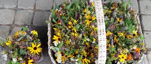 Ein Korb aus Weide gefüllt mit einer Vielzahl von Kräutern und Blumen, einschließlich Sonnenblumen, Lavendel und anderen bunten Blüten, auf einer Kopfsteinpflasterfläche angeordnet.