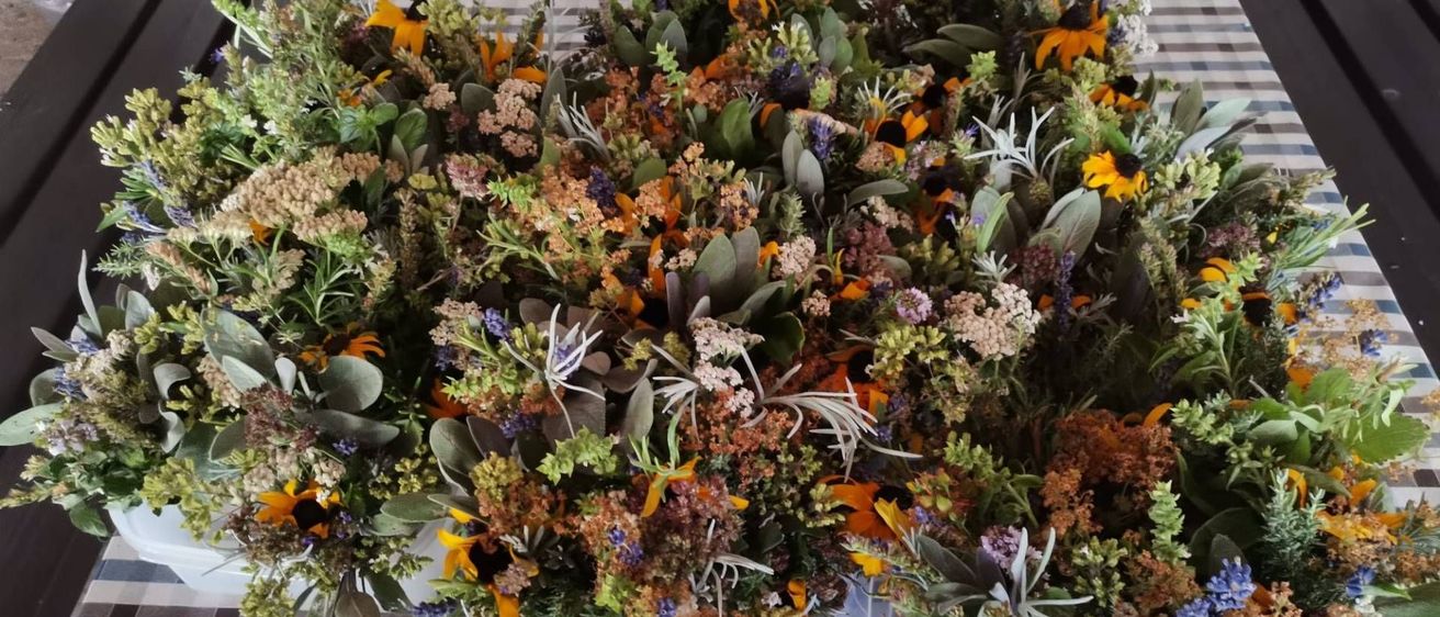 v1_migrated_image_98619503