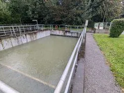 Ein Betonbecken mit grünlichem Wasser ist von Metallgeländern umgeben. Das Gelände ist von Gras und Bäumen umgeben.