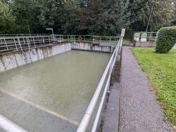 Ein Betonbecken mit grünlichem Wasser ist von Metallgeländern umgeben. Das Gelände ist von Gras und Bäumen umgeben.