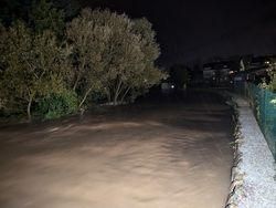 Eine überschwemmte Straße bei Nacht mit Bäumen auf beiden Seiten und einer Betonbarriere. Gebäude sind in der Ferne sichtbar.
