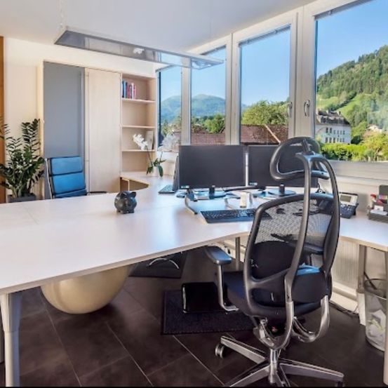 Ein modernes Büro mit einem Schreibtisch, zwei Computerbildschirmen, einem Stuhl, einem Topf, einem Schrank und Blick auf die Berge.