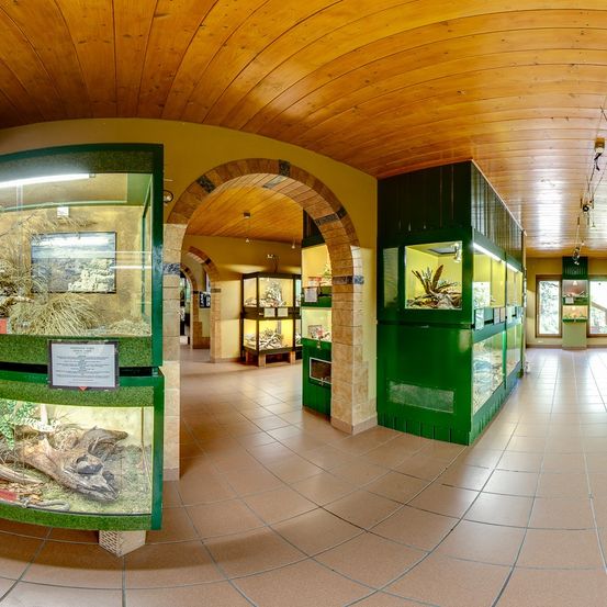 Ein Innenraum eines Zoos mit Holzdecke und gefliestem Boden. Grüne Glasvitrinen zeigen Pflanzen und Tiere. Jede Vitrine hat ein Bild und eine Beschreibung.
