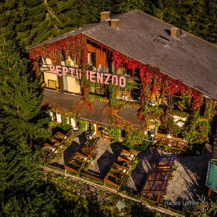 Luftaufnahme des Reptilienzoos, eines Reptilienzoos, der von Weinreben bedeckt ist und von Bäumen umgeben ist, mit Sitzgelegenheiten im Freien.