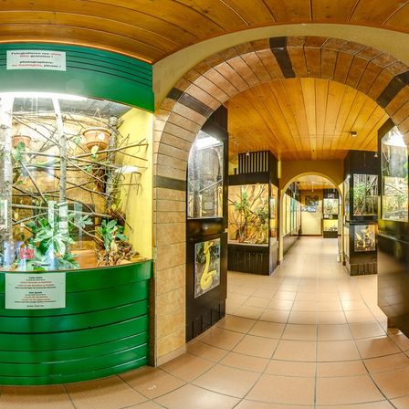 Ein Terrarium mit Pflanzen und Bäumen wird in einem Museum ausgestellt. Ein Schild weist darauf hin, dass Fotografien nur ohne Blitzlicht erlaubt sind. Der Raum hat geflieste Böden und gewölbte Decken.