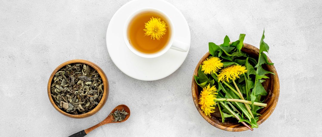 Bild enthält, Cup, Food, Plant