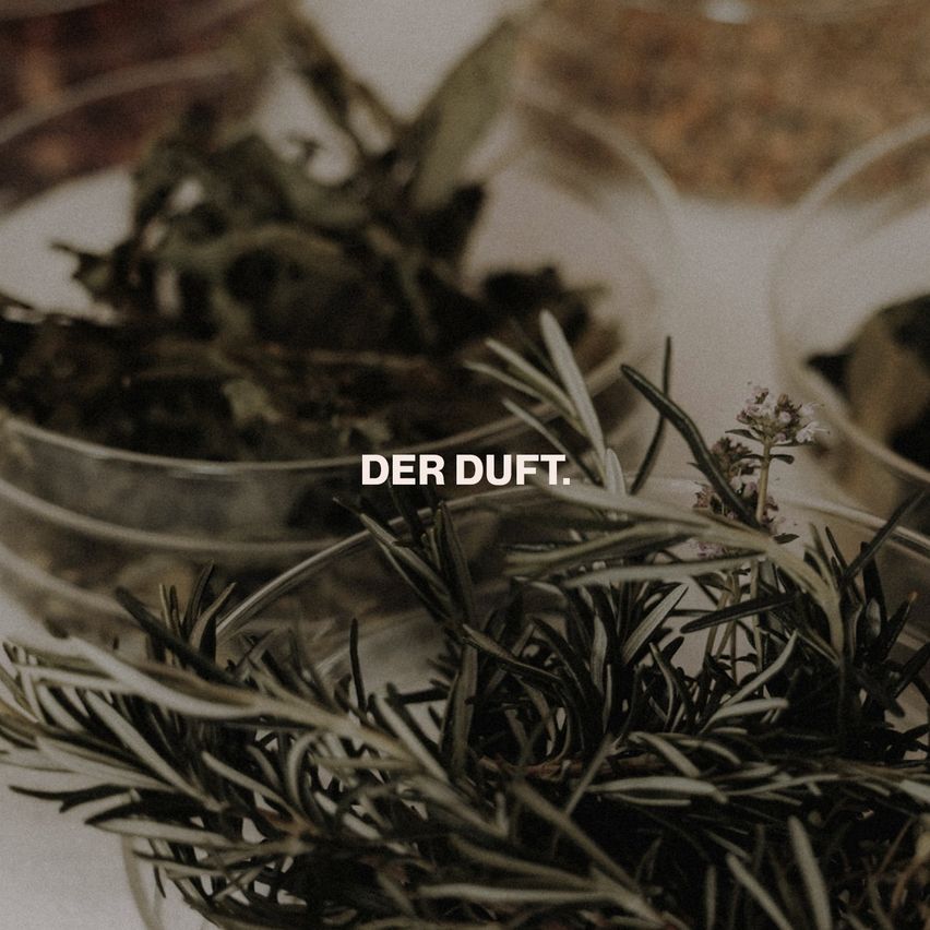 Ein Nahaufnahme von verschiedenen Kräutern in Glasschälen, mit dem Text 'DER DUFT.' in der Mitte. Die Kräuter umfassen Rosmarin, Lavendel und möglicherweise andere.