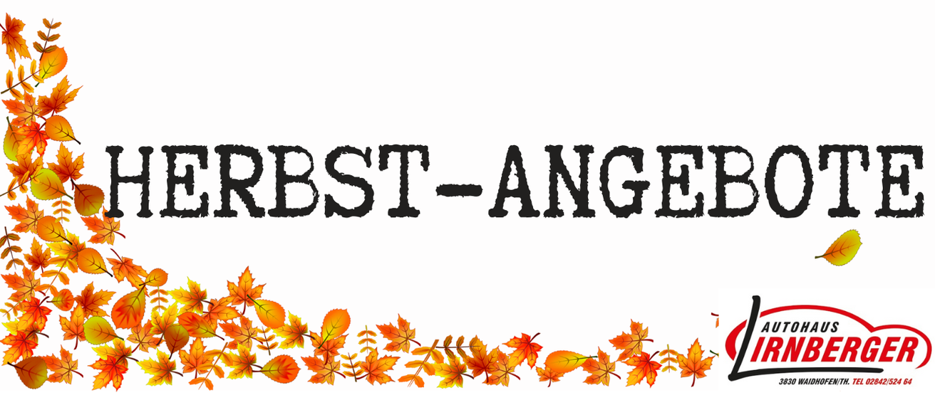 Herbstangebote-Werbung mit Herbstblättern, wobei die Worte 'Herbst-Angebote' in Schwarz geschrieben sind. Darunter befindet sich ein Logo mit dem Text 'AUTOHAUS IRNBERGER'. Die Blätter sind orange und gelb.